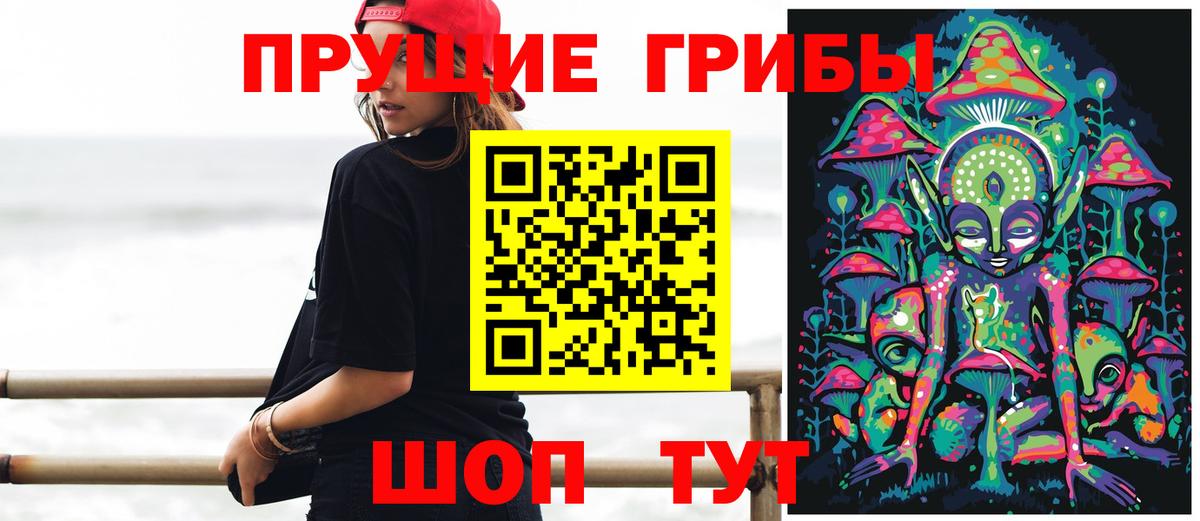 Арсеньев  Псилоцибиновые грибы ЛСД  Вход с VPN 
